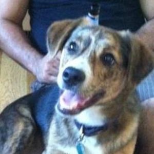 Meet your Posher, Danny